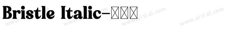 Bristle Italic字体转换